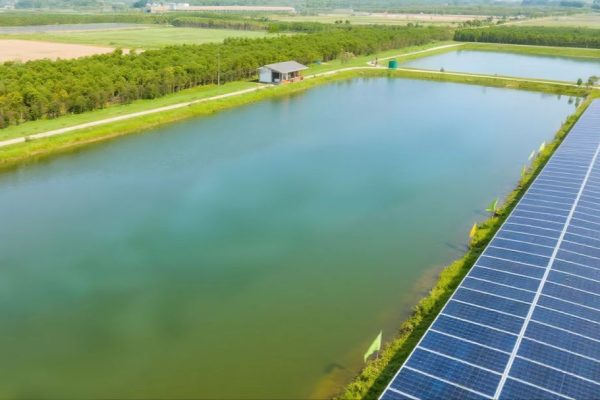 Grounding Strategy in Solar + ESS Systems: What to Know