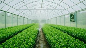 Key Certifications for Combine…