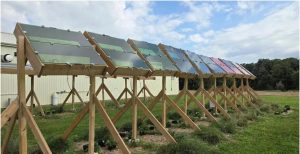 Short-Term Export Potential of…