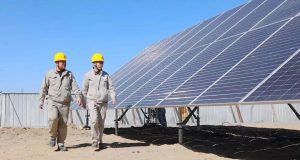 Using Case Studies to Build Te…