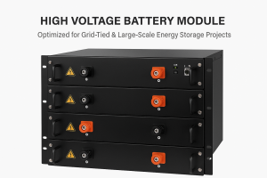 How Carbon Nanotubes Enhance B…